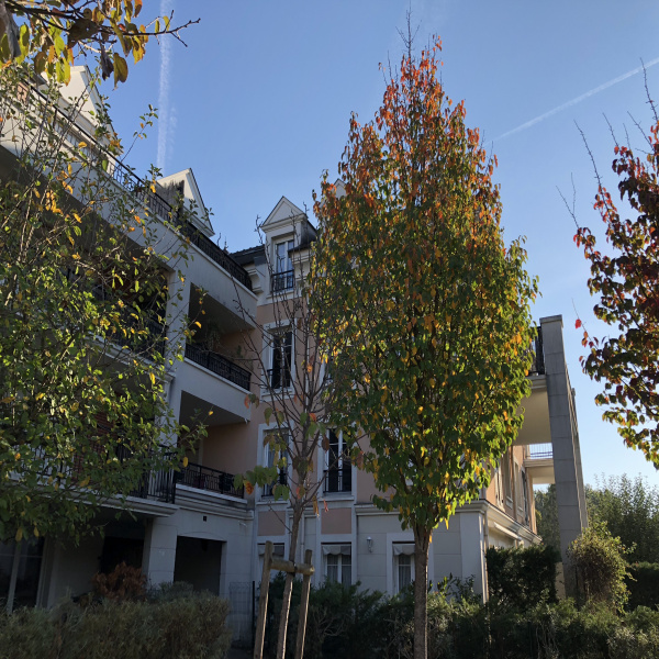 Offres de location Appartement Émerainville 77184